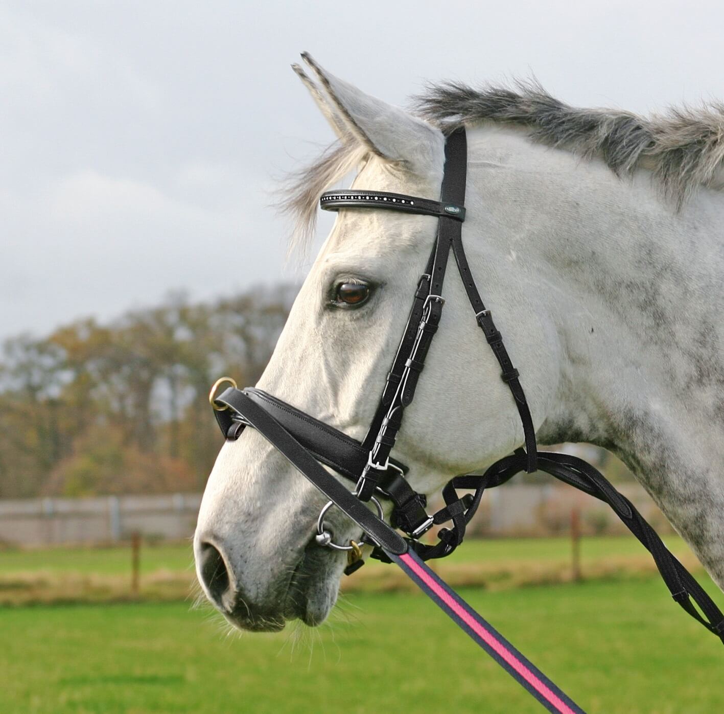 nachrapnik-do-lonzowania