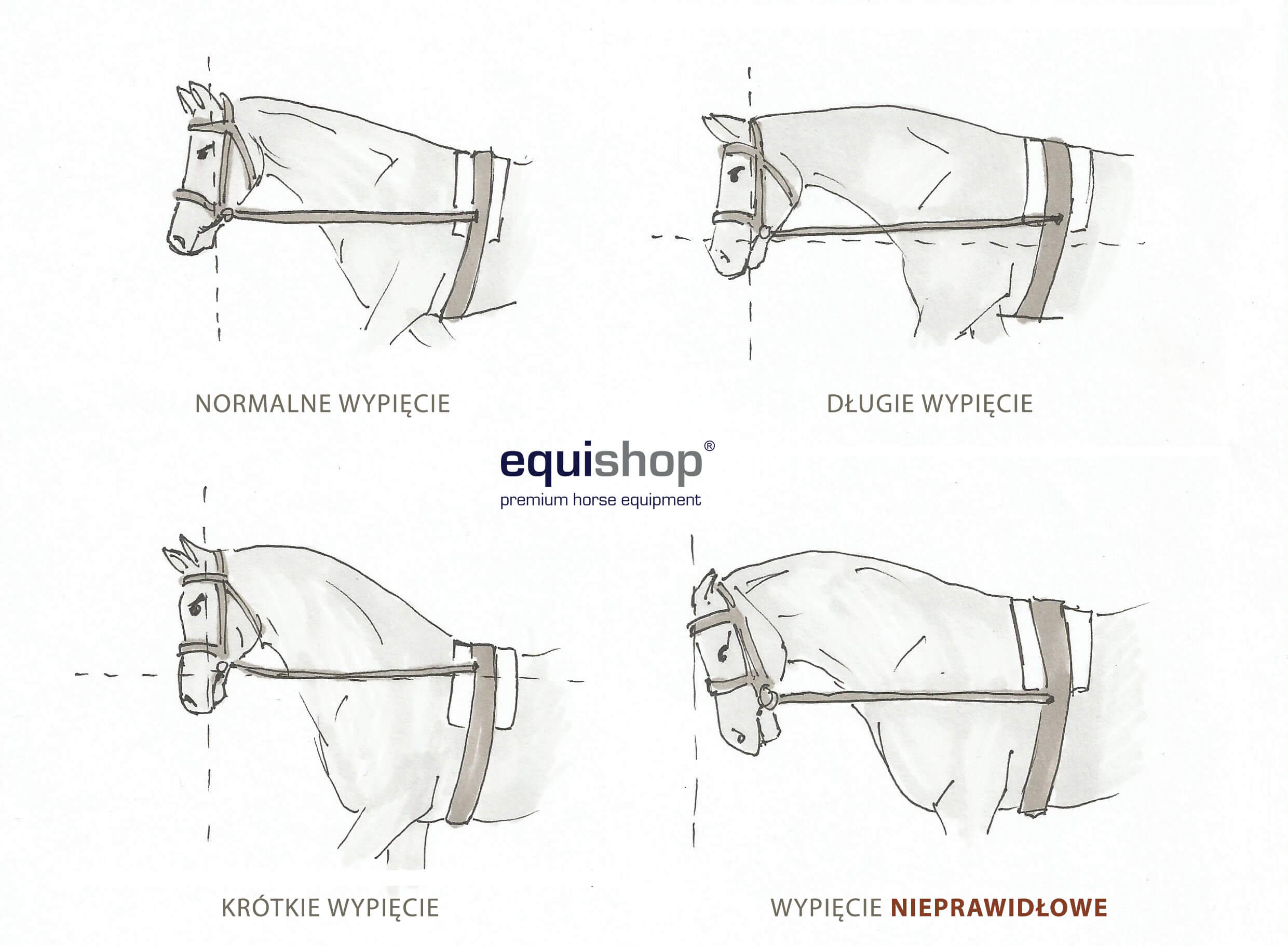 rodzaje wypięcia wypinaczy22