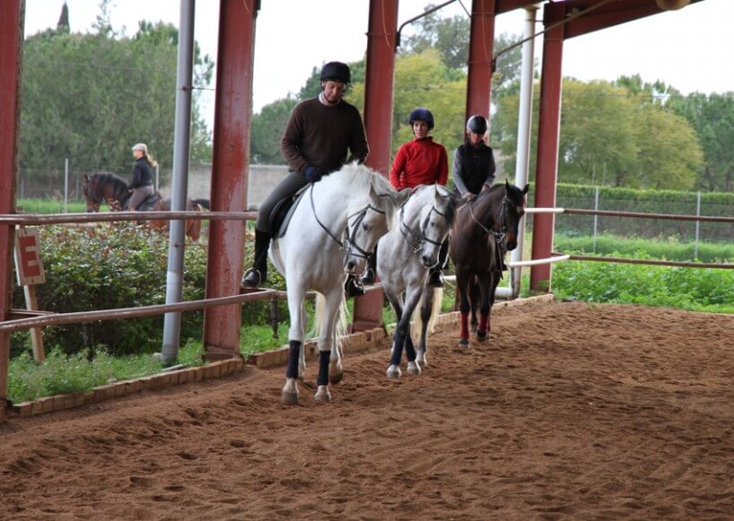 Trening ujeżdżeniowy