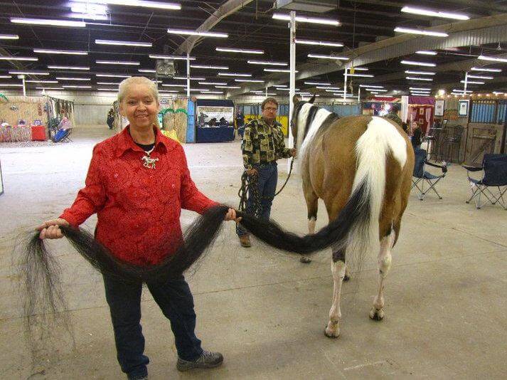 guinness world records smallest horse