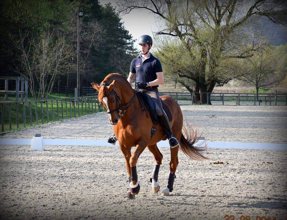 jan gawecki trening quest