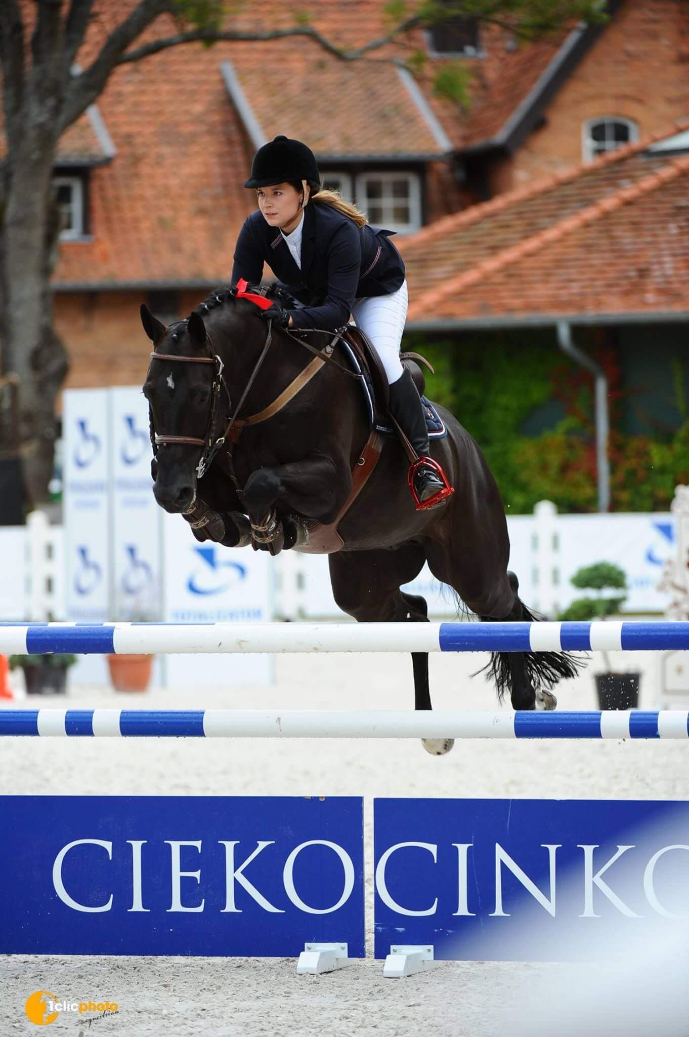 Adonus W- Ciekocinko CSI 2 i 3