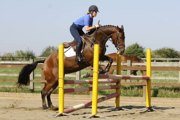 skoki przez przeszkody