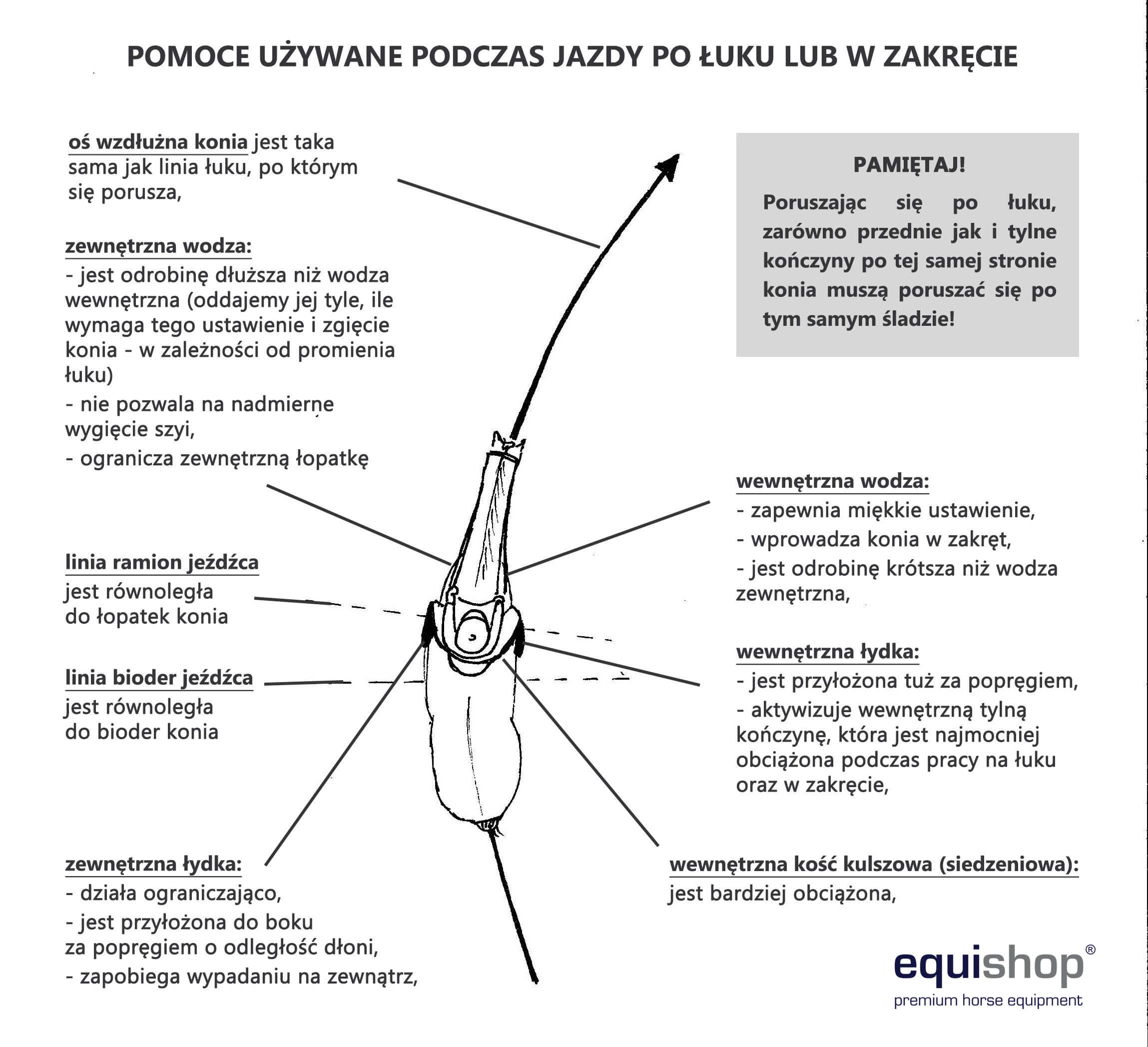 koń prawidłowo wygięty na łuku - działanie pomocy1