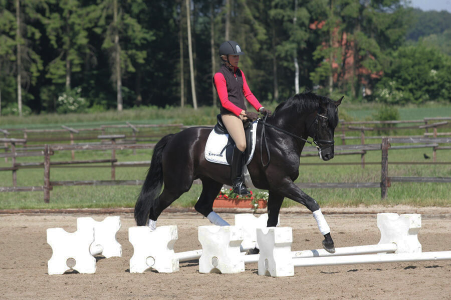 cavaletti with full seat