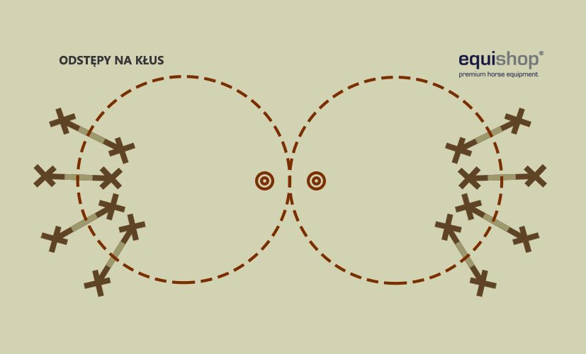 ósemka drągi - kłus1