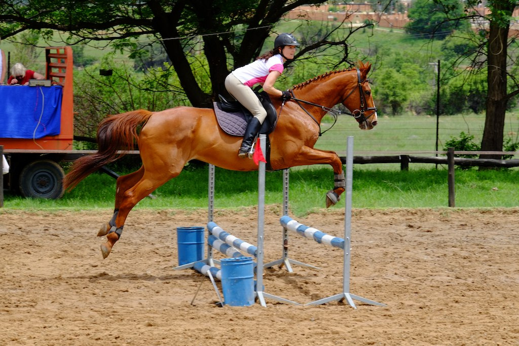 Najważniejsze zasady dotyczące eliminacji błędów konia podczas skoków