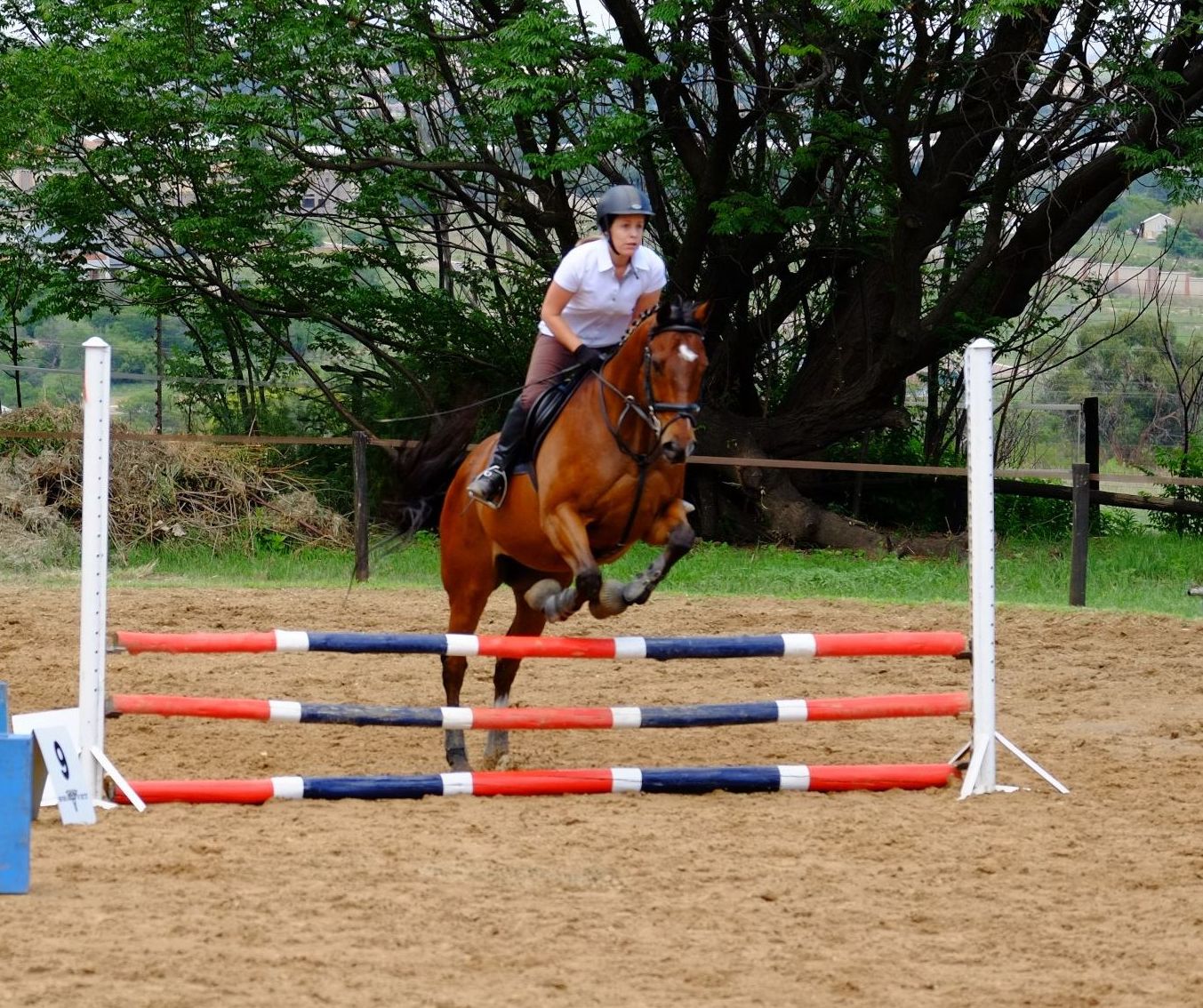 Show jumping - what to do with a horse who... part 4 - EQUISHOP Equestrian  Shop