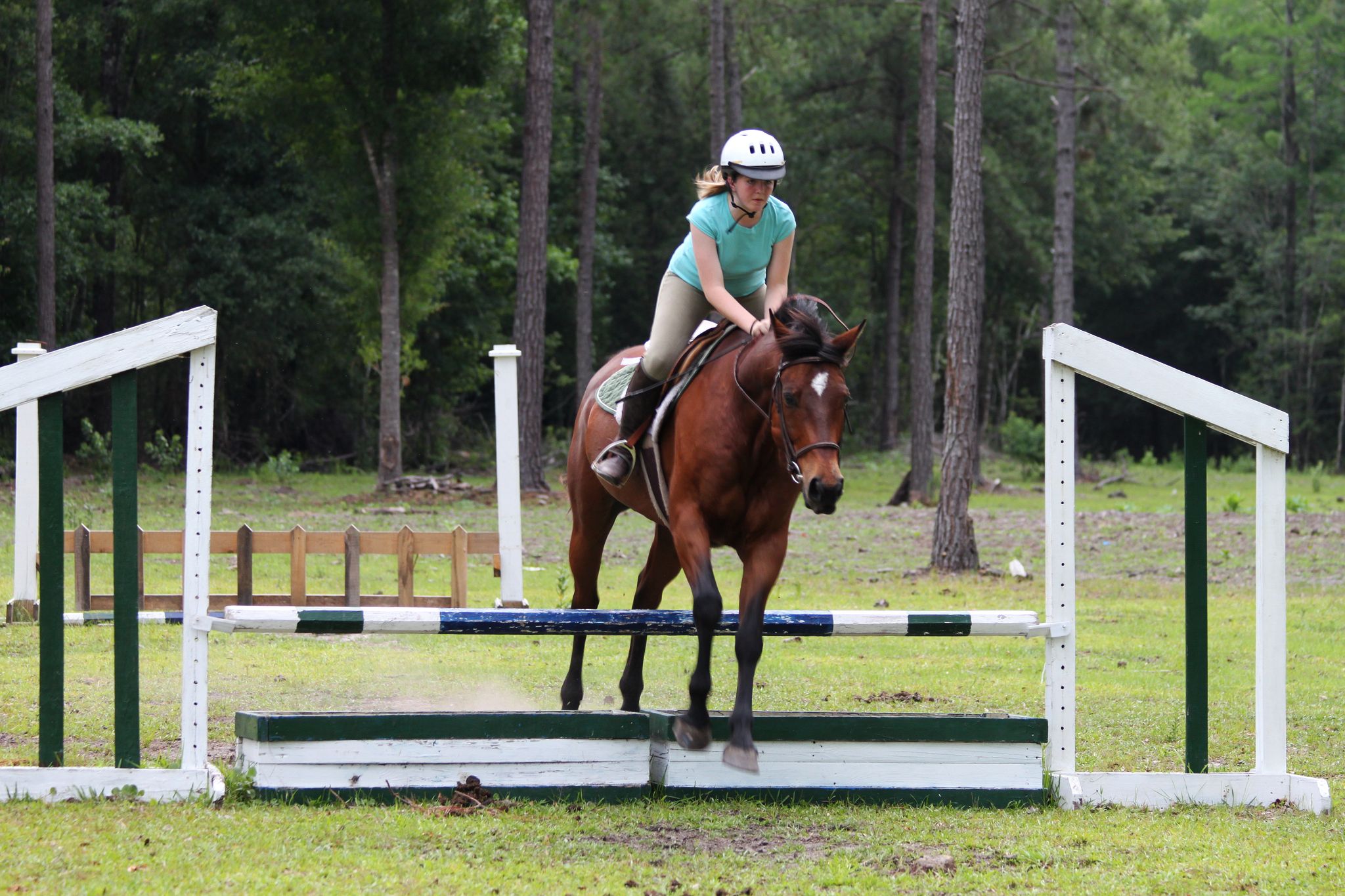 Koń zbyt wolno unosi przednietylne nogi podczas skoku