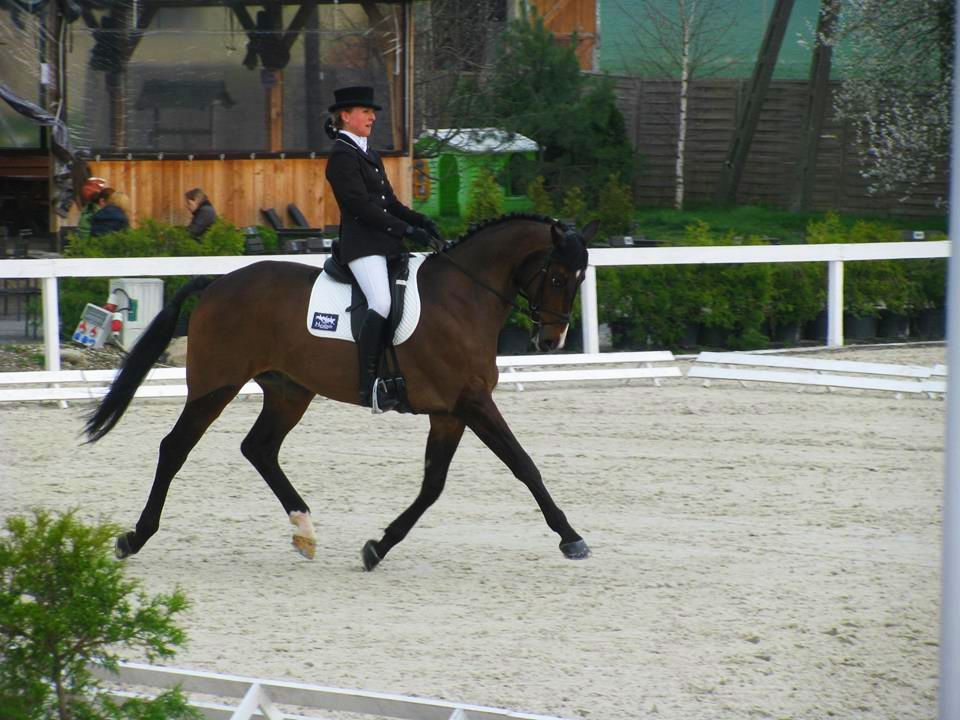 Kasia i Metro podczas CIC1* Strzegom 2015