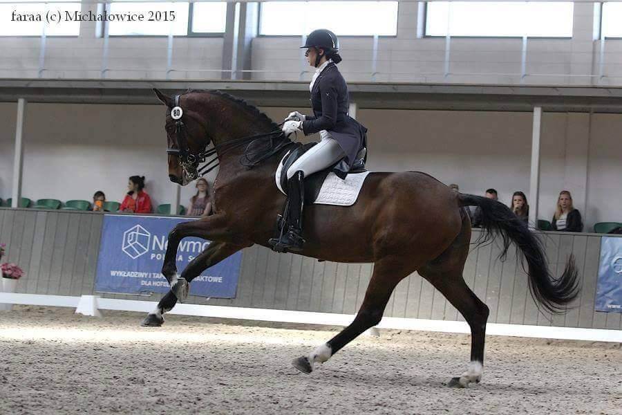 Iwona Szafir na koniu Lapriora podczas HPP Michałowice