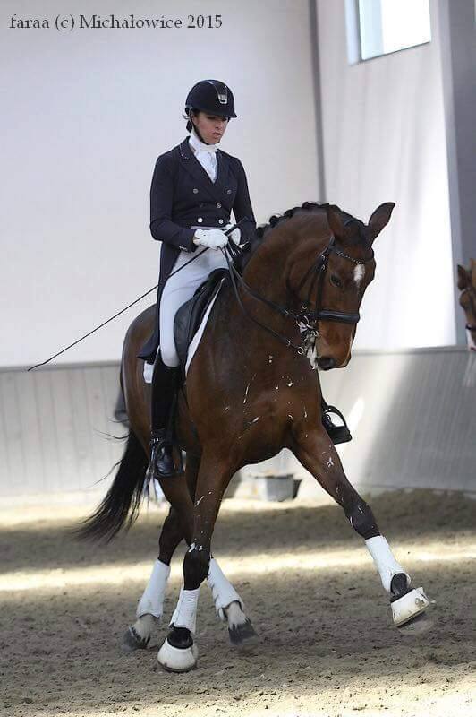 Iwona Szafir na koniu Lapriora podczas HPP Michałowice