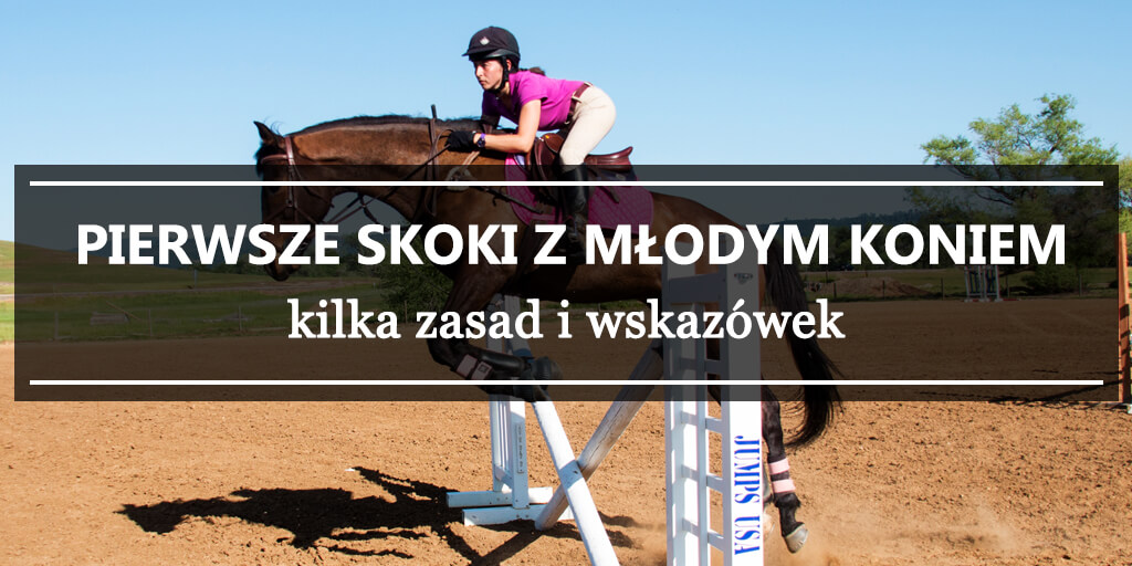 pierwsze skoki z młodym koniem - kilka zasad i wskazówek