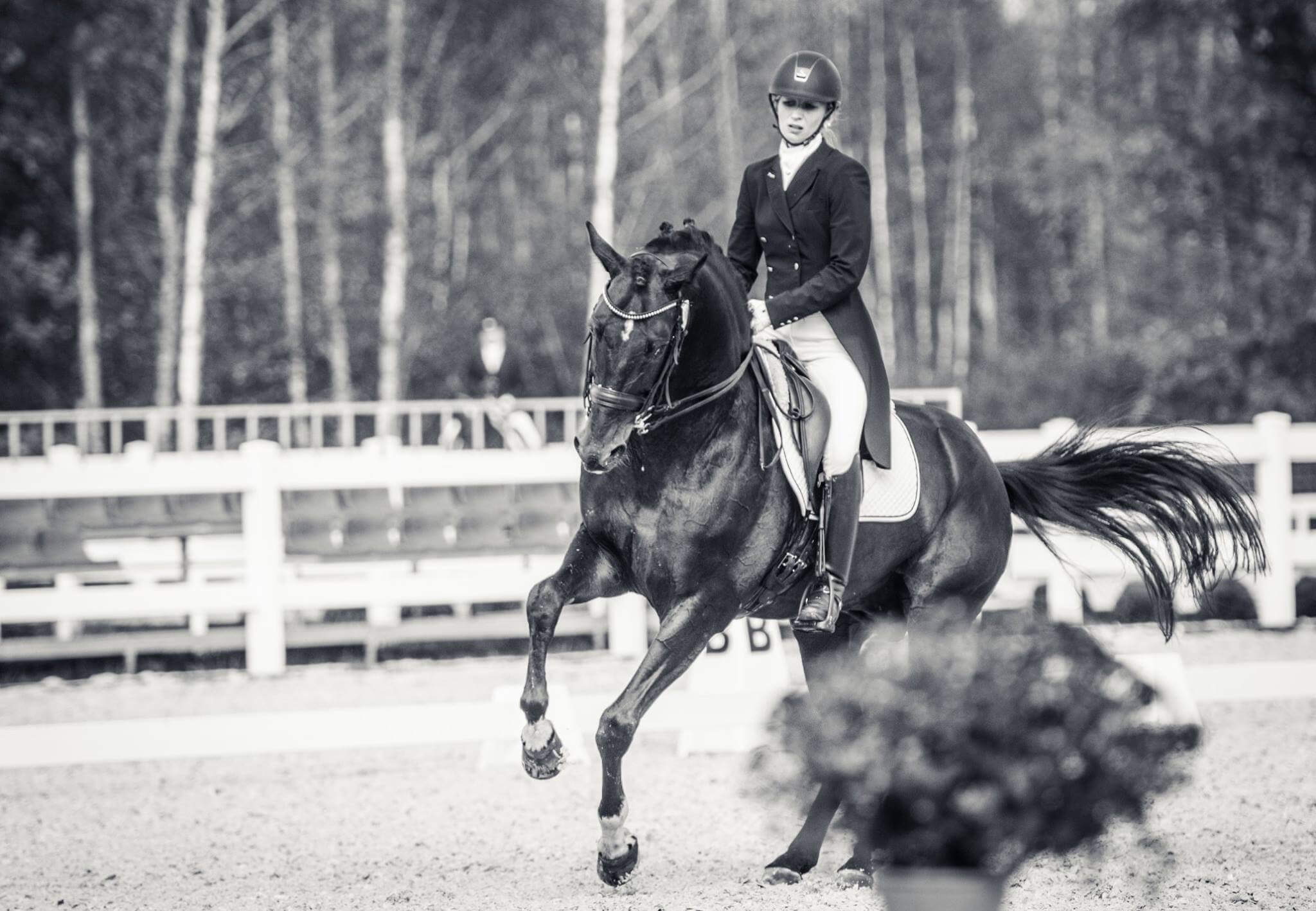 Anna Grygier–Wójtowicz