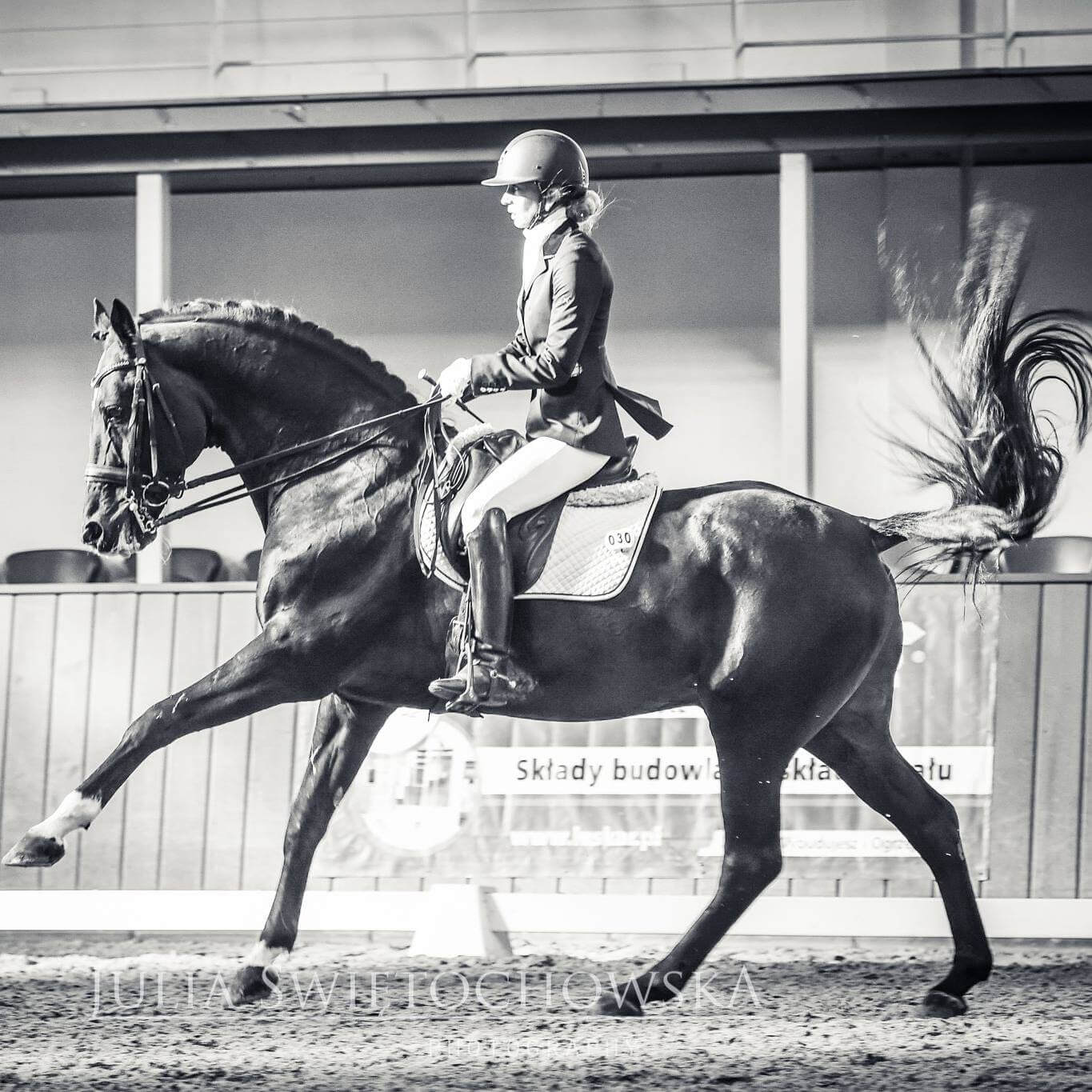 Anna Grygier–Wójtowicz na koniu Rammstein ZO-A Michałowice