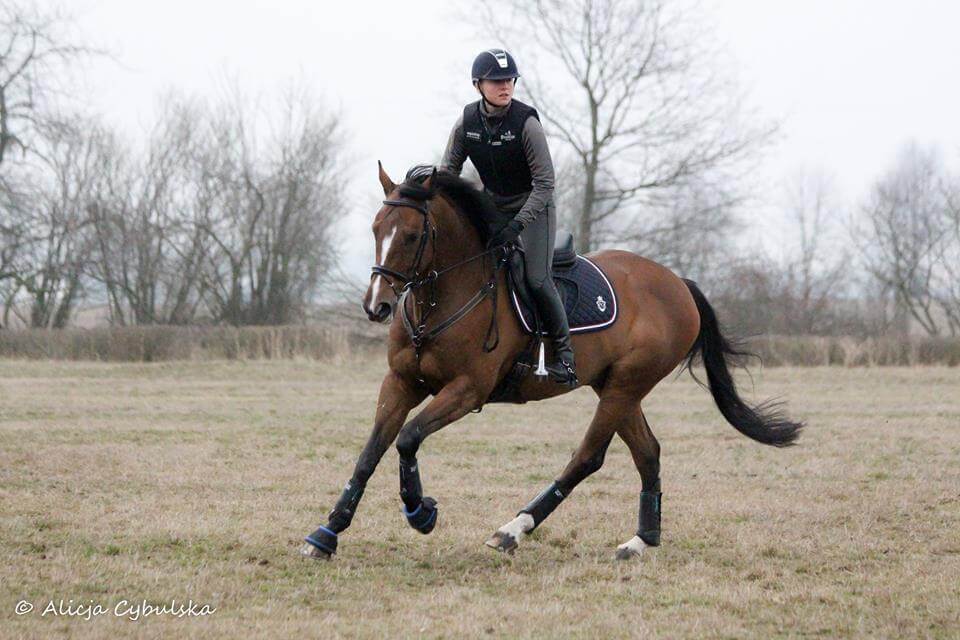 kask samshield bezpieczeństwo