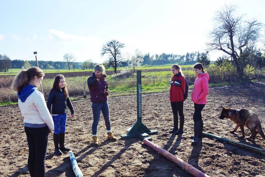 13101407_953123214794752_1777619470_n