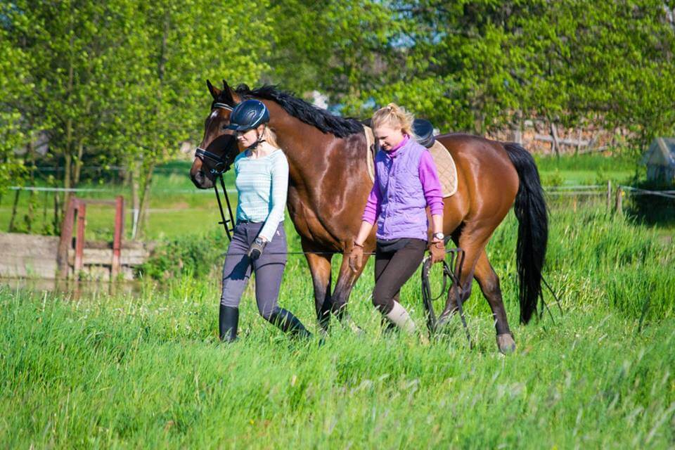 13238982_1787198704848912_8020639840538969558_n