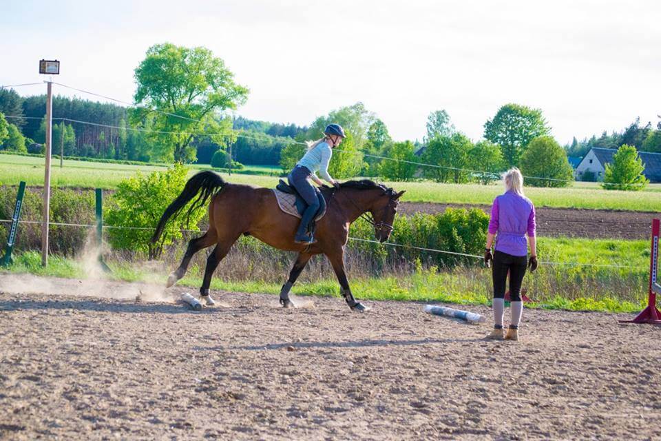 13245503_1787202734848509_6645961821190419218_n