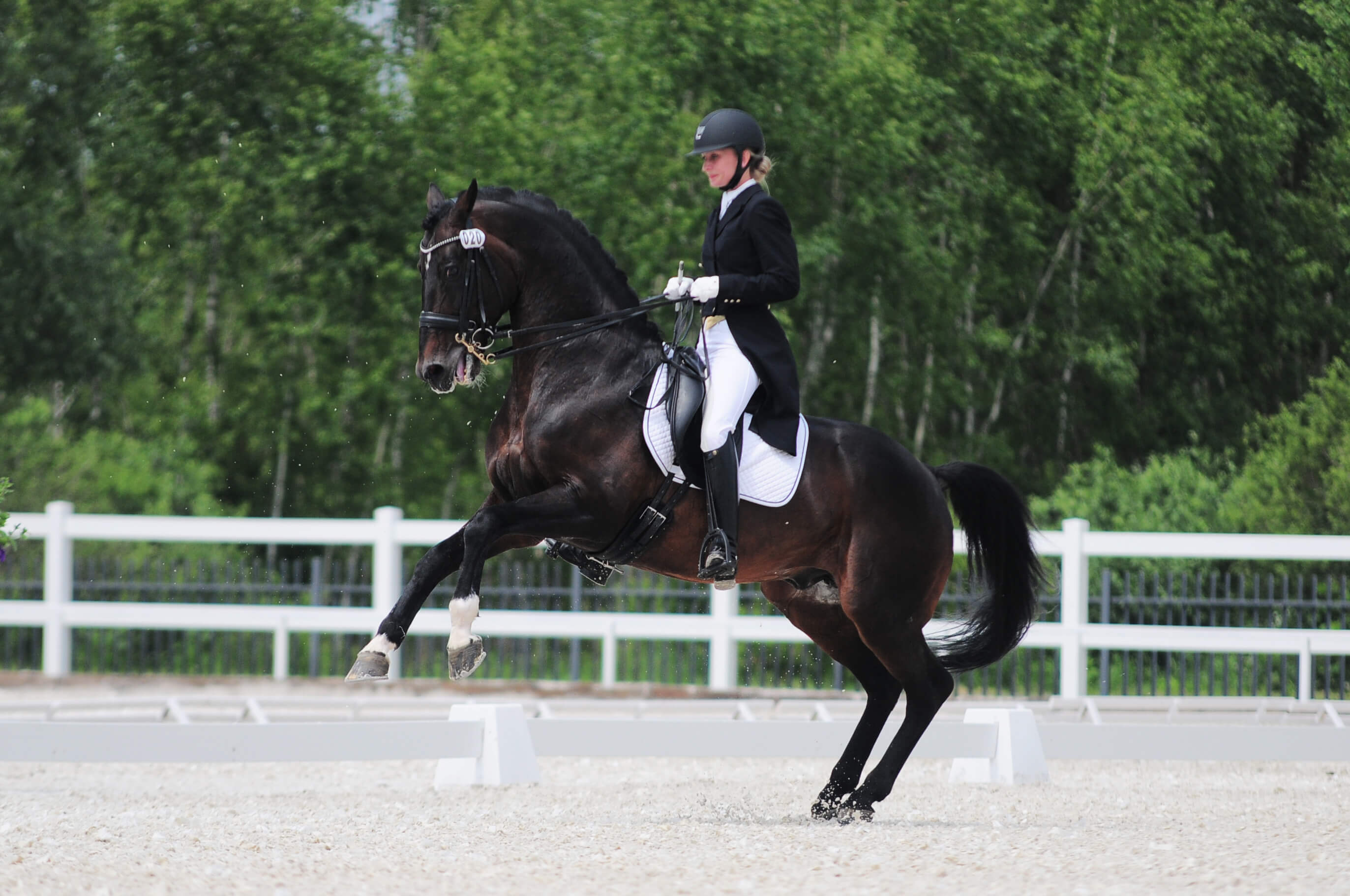 Anna Grygier–Wójtowicz koniu Rammstein Bobrowy Staw 2014