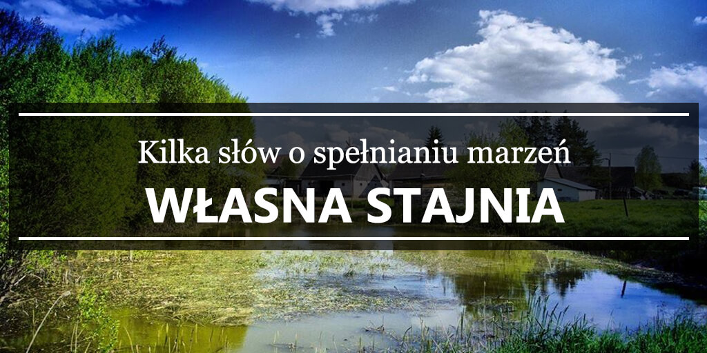 Kilka słów o spełnianiu marzeń - własna stajnia