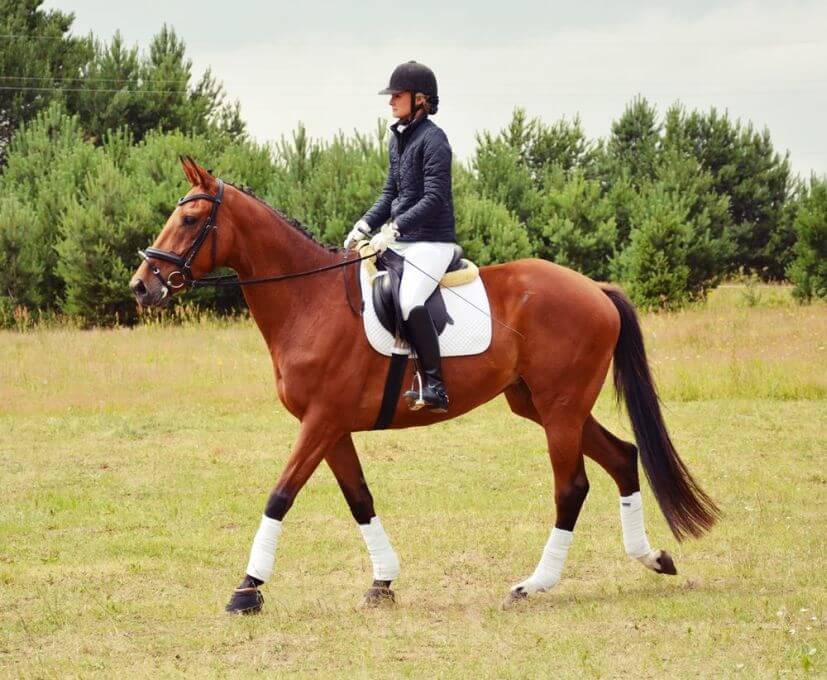 karolina na klaczy Marsylia