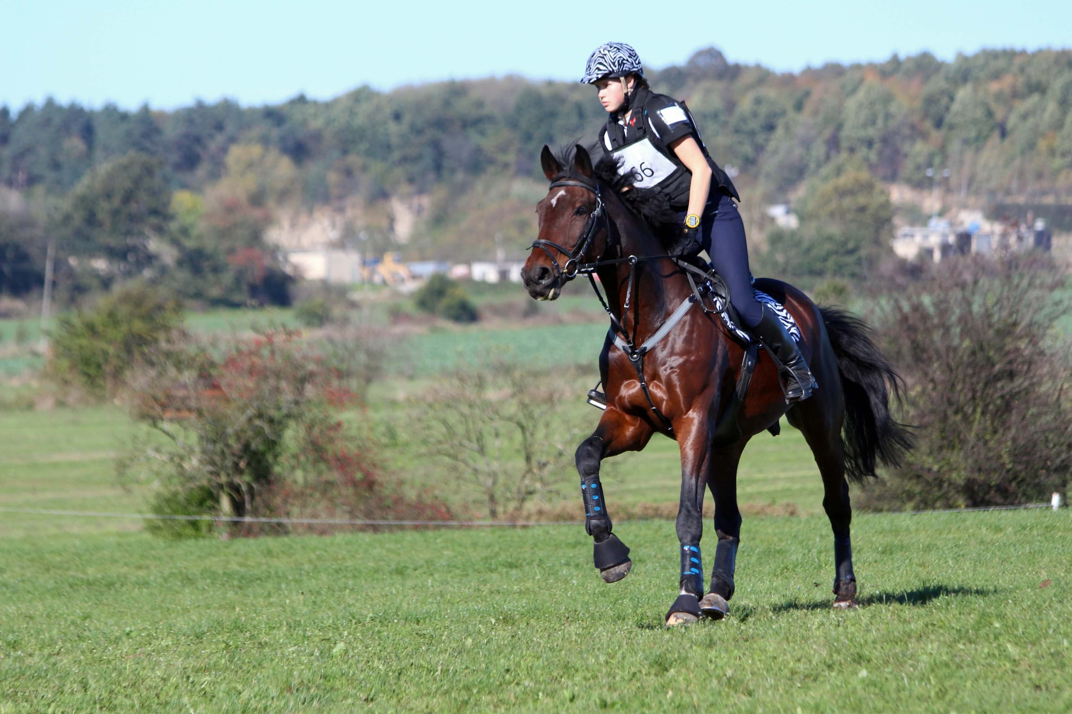 Gosia i Sojuz podczas krosu CIC1* Strzegom 2014