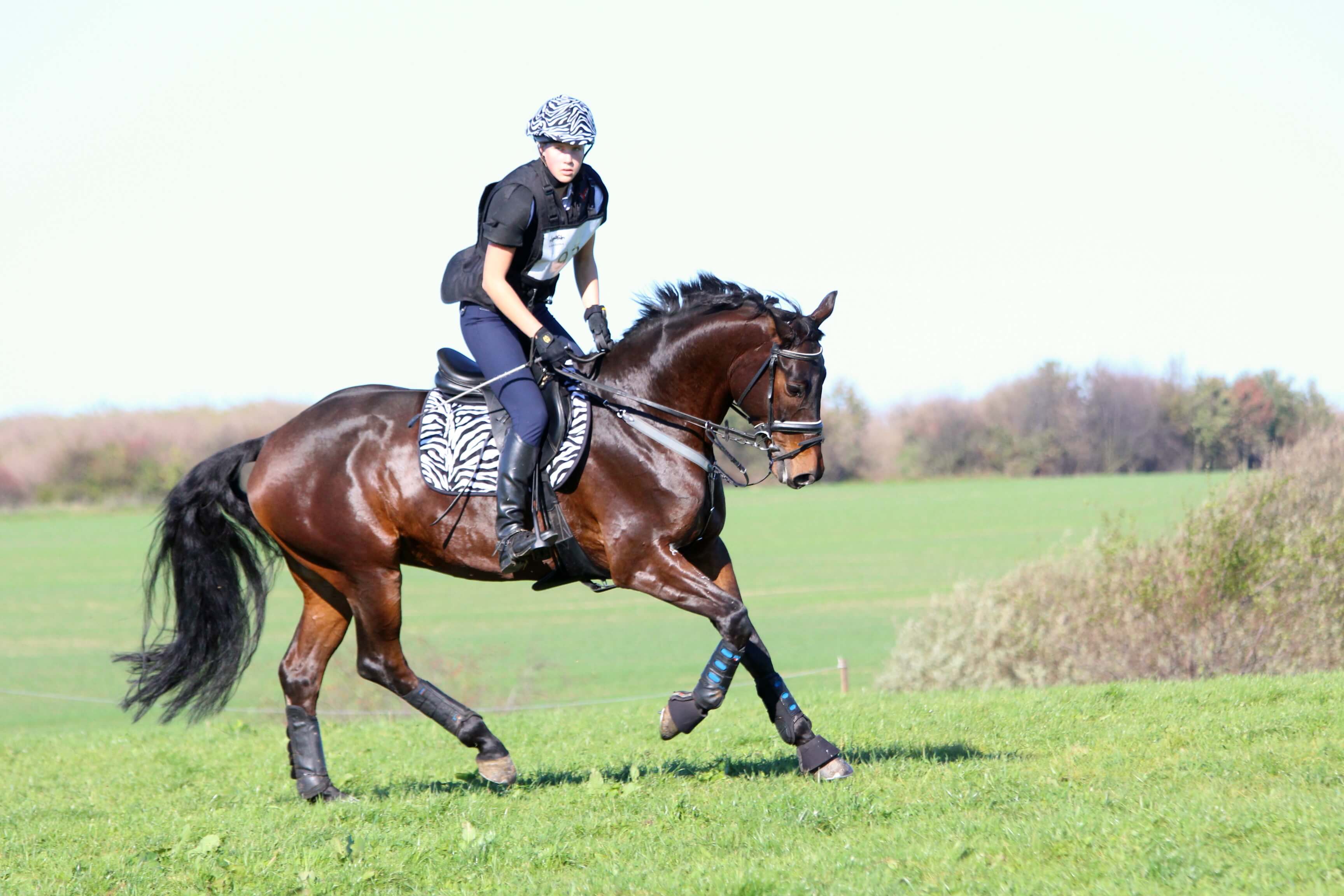 Gosia i Sojuz podczas krosu CIC1* Strzegom 2014