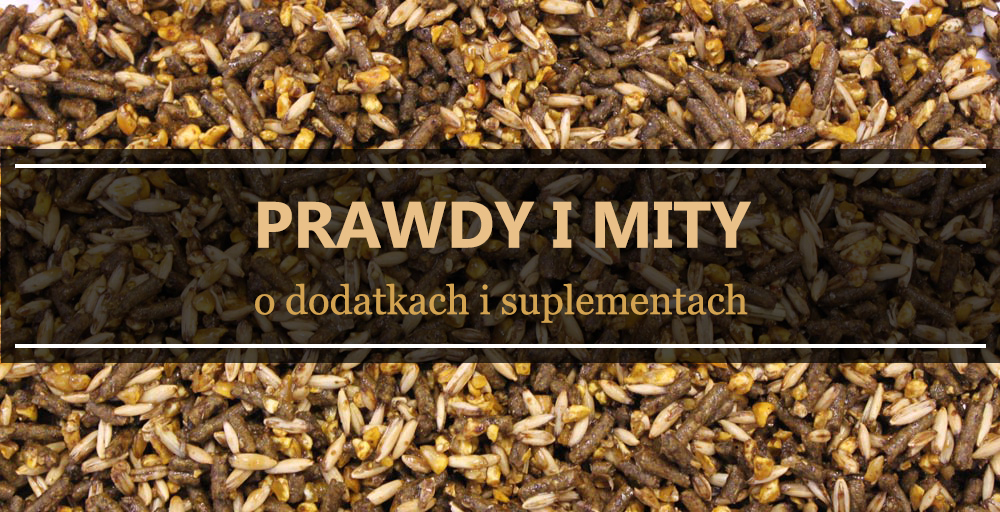 dodatki i suplementy dla koni