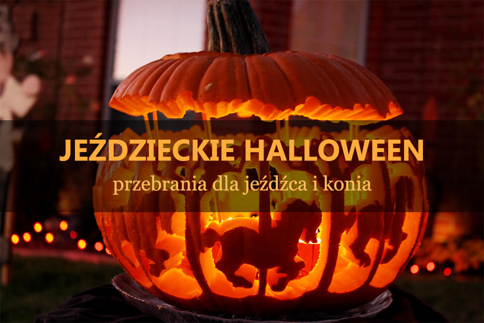 jezdzieckie-halloween-przebrania-dla-jezdzca-i-konia