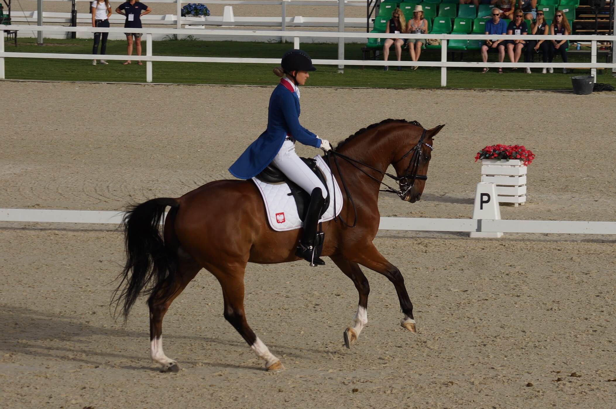 Zuzanna Haber Don Crusoe ME Oliva Nova 2016