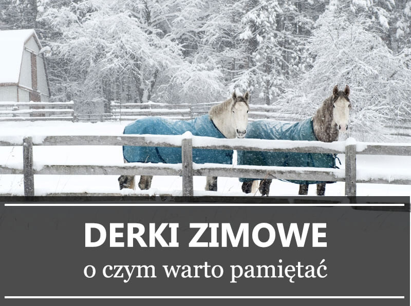 derki-zimowe