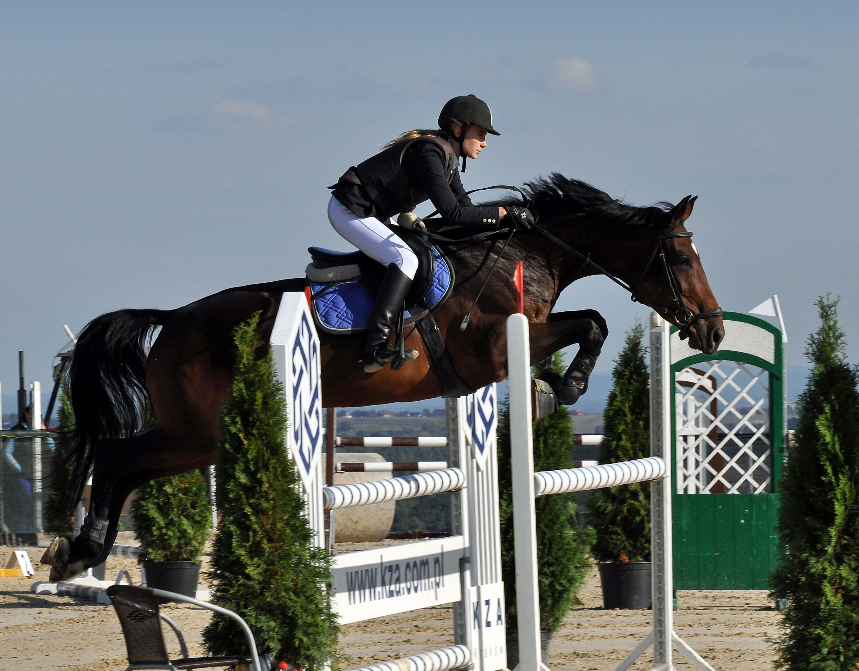 Kamila Rokita - Gaspra