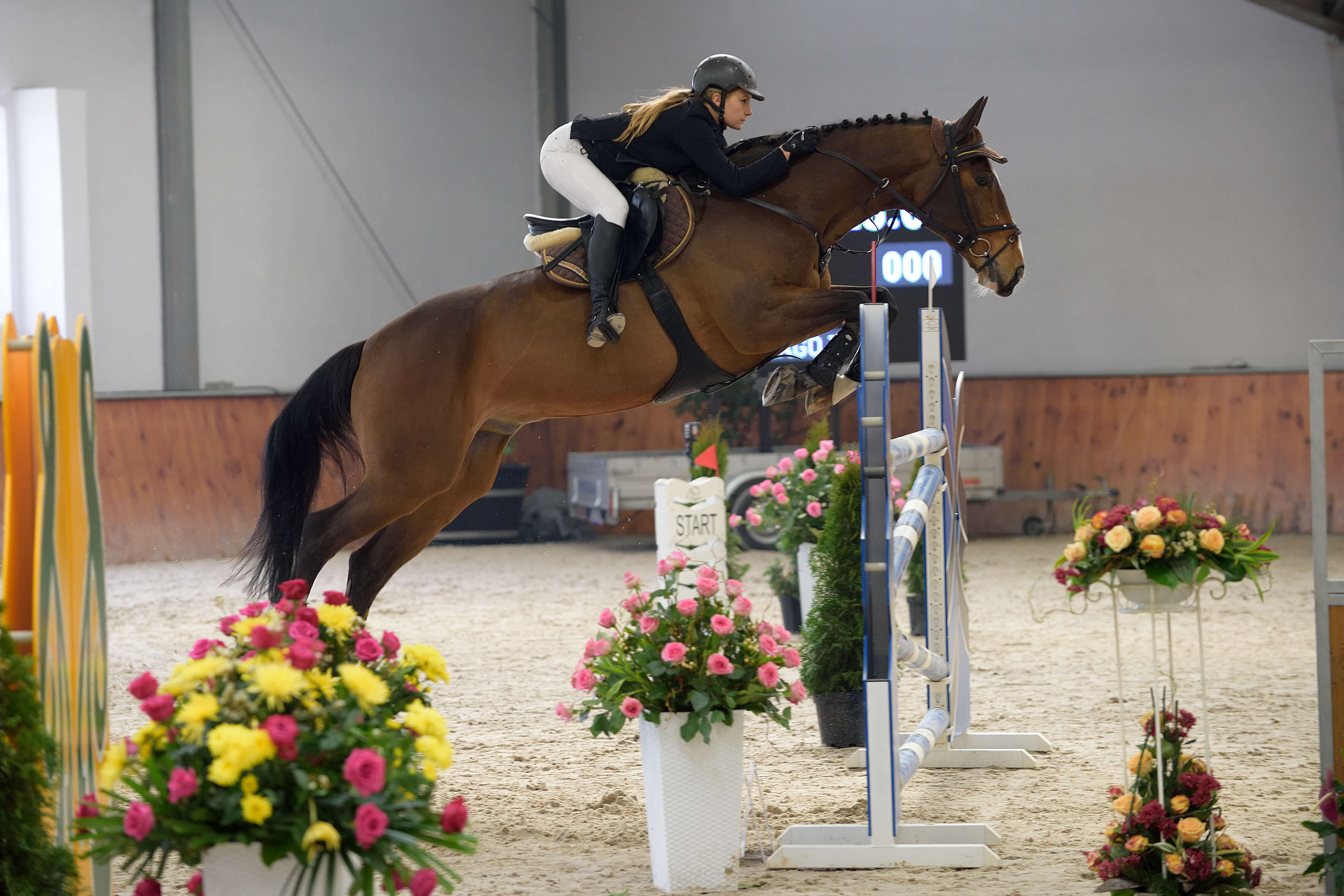 Kamila Rokita i Santiago 7