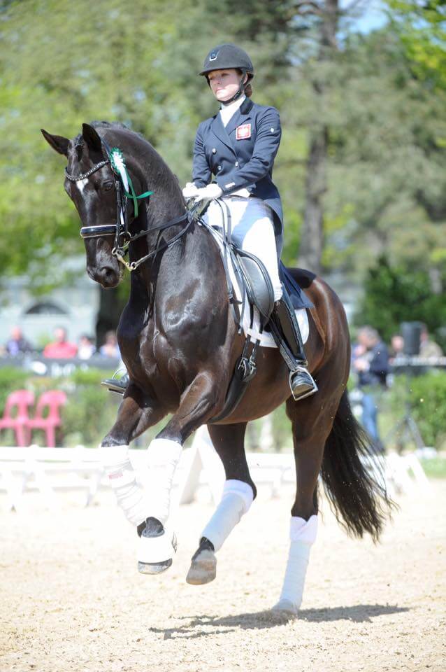 Joanna Tragarz i Harvard CDI Saumur