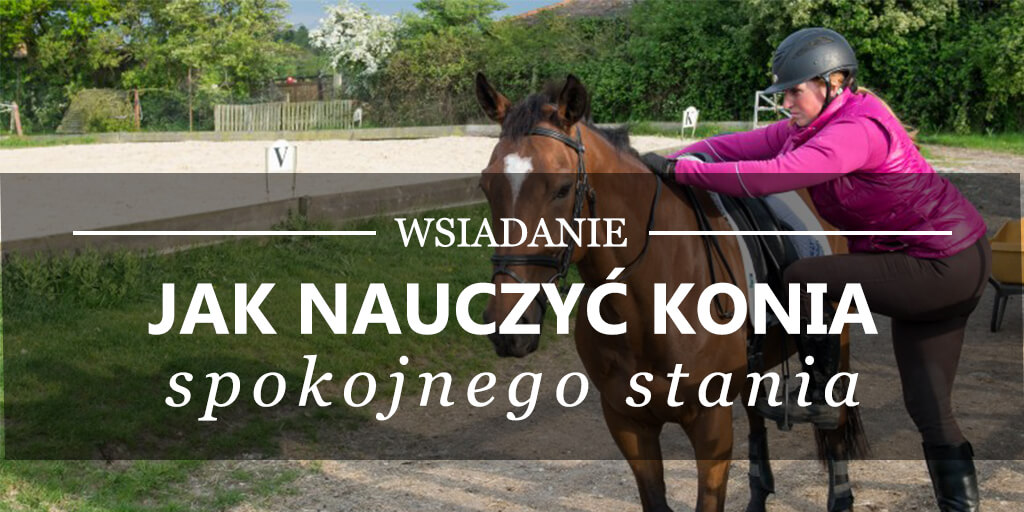 Wsiadanie - jak nauczyć konia spokojnego stania
