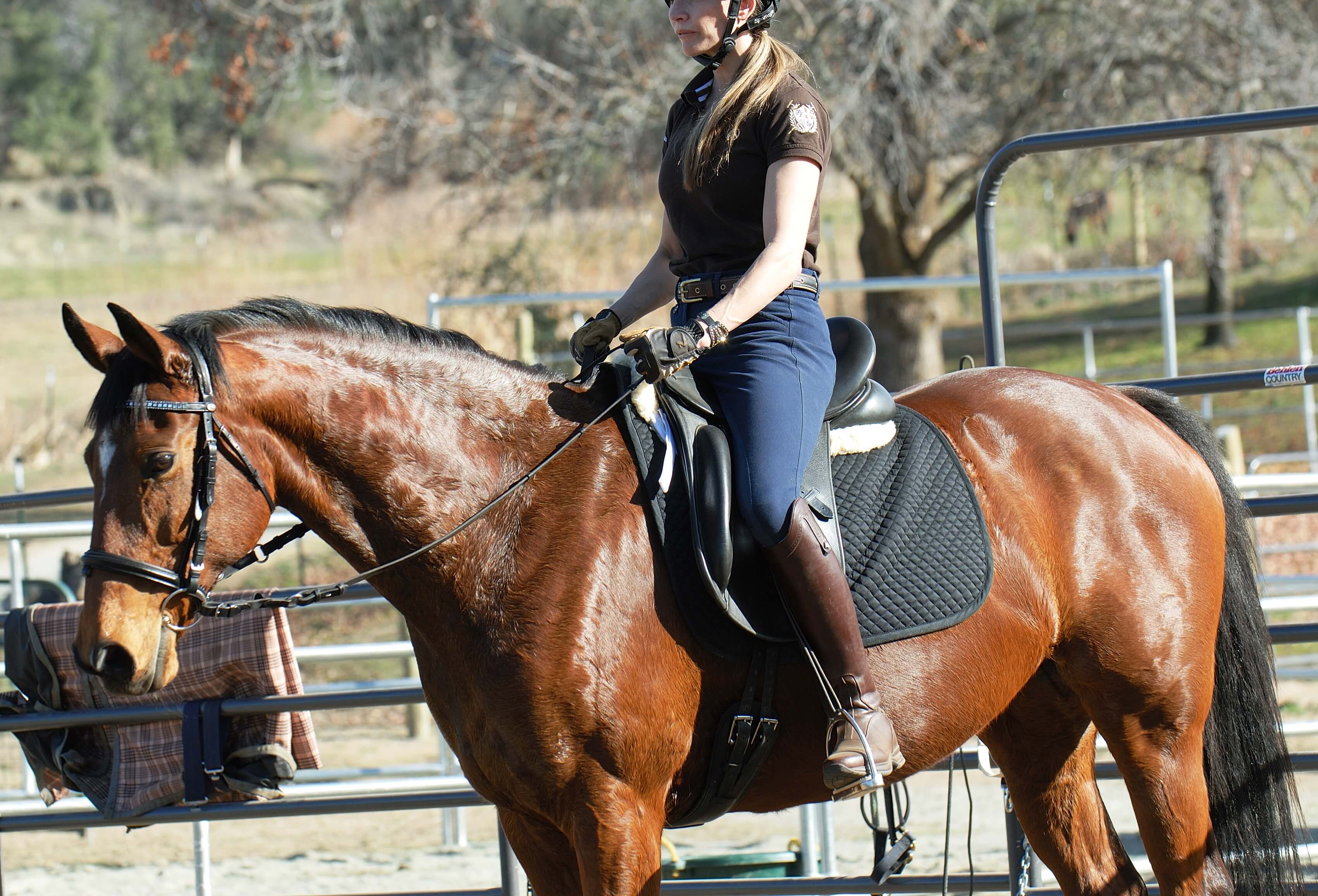 mounting a horse