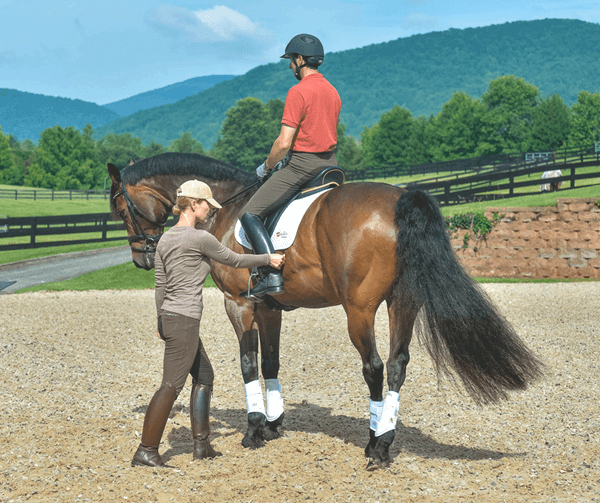 training in the saddle with an aide on the ground