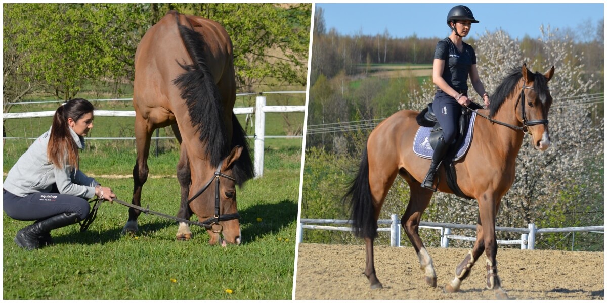 Ambasador-Equishop-Joanna-Pomiankowska-1