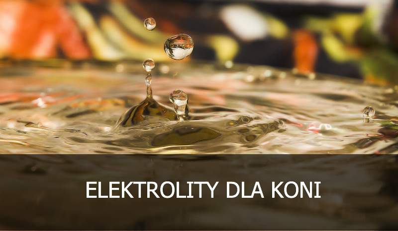 Elektrolity