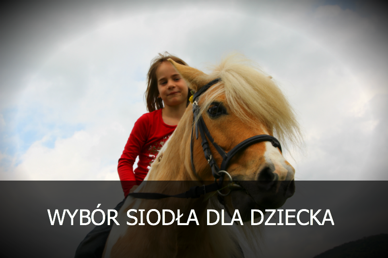 Wybór siodła dla dziecka