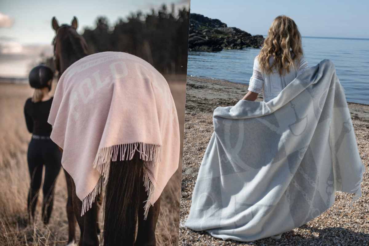 koce_equishhop_x_adamsbro