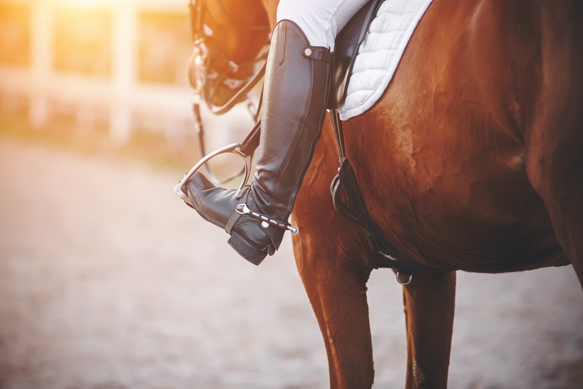 gips embargo Nauwkeurig Chaps, jodhpurs, and riding boots - pros and cons of each solution -  EQUISHOP Equestrian Shop