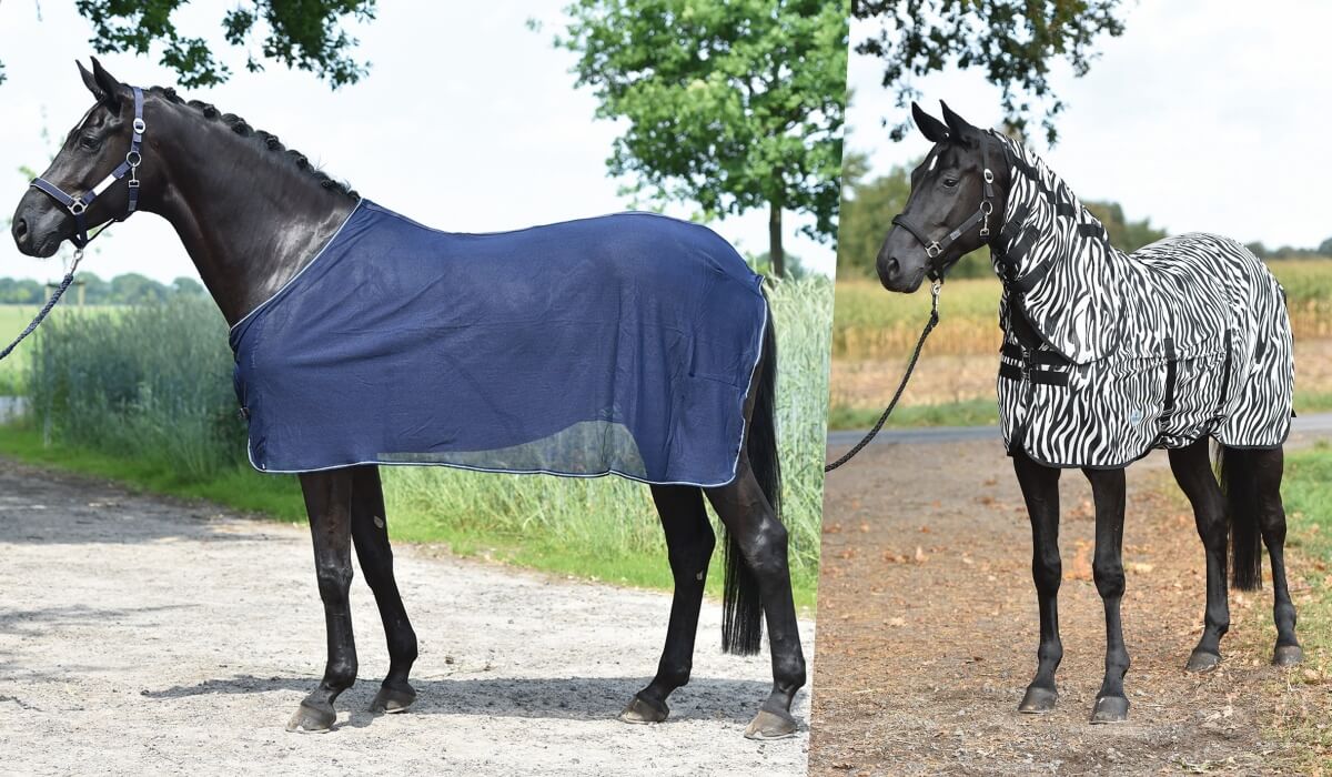 derki-siatkowe-busse-przeciwowadom