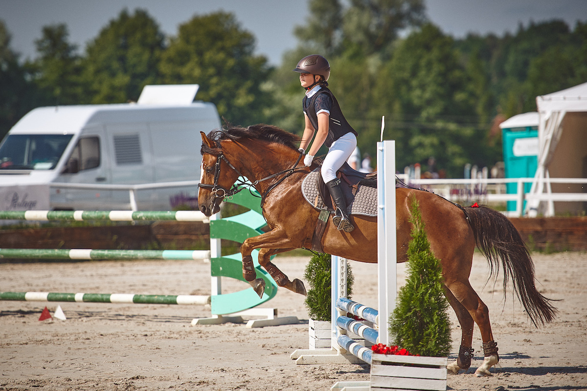 Gałkowo skoki jeździeckie