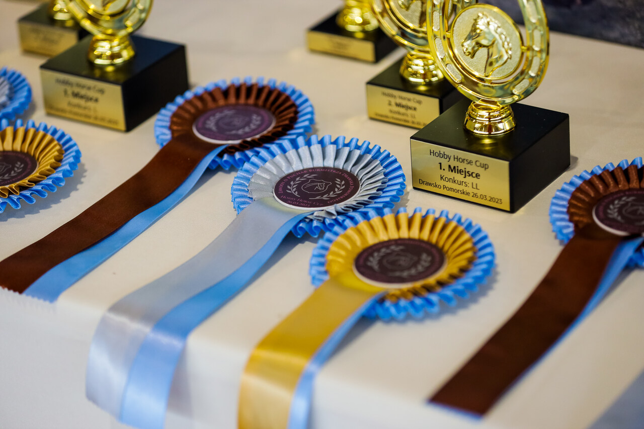 Nagrody w konkursie Hobby Horse Cup