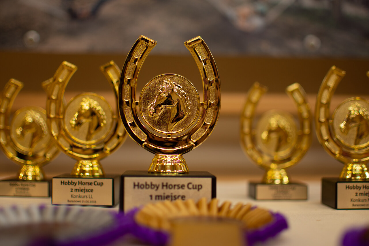 Stautetki Hobby Horse Cup