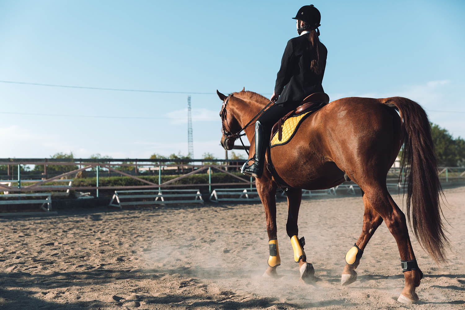 Riding Leggings | Equine Shop Cheshire | Life At A Gallop