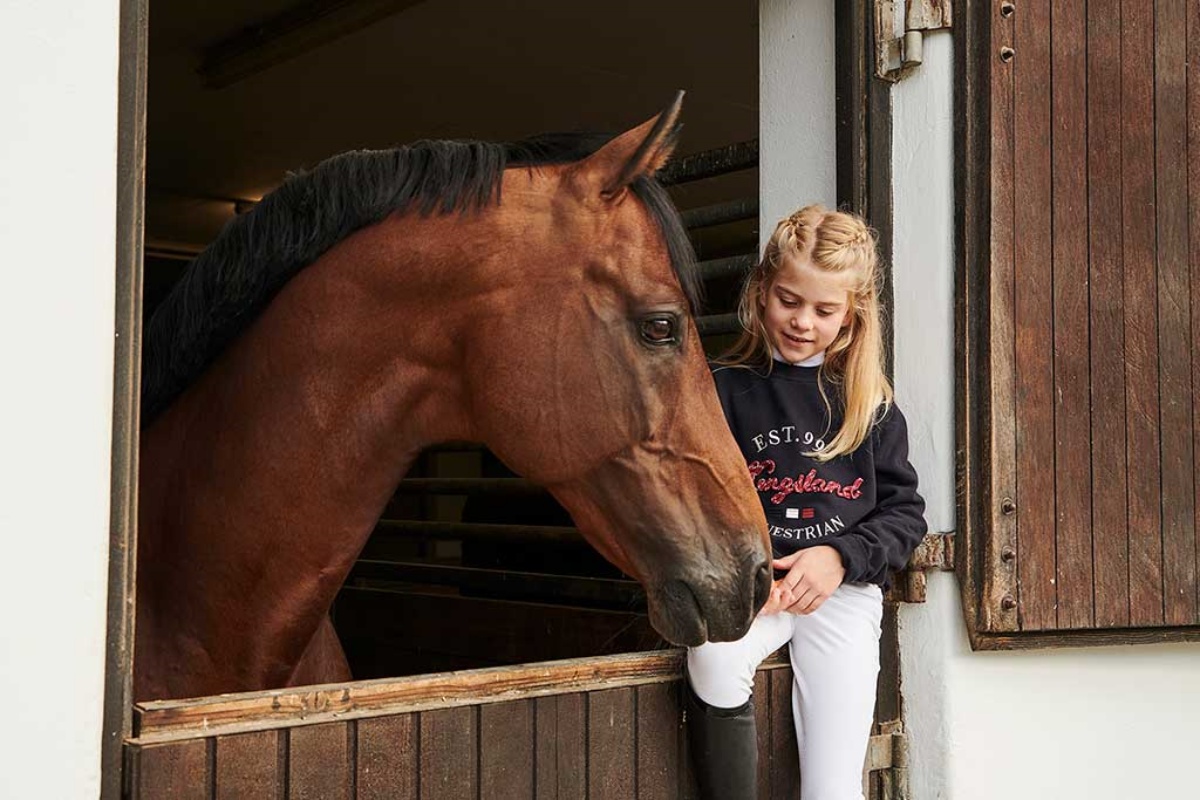 promocje_majowka_equishop