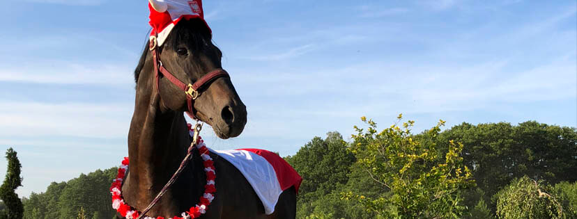 Rammstein typuje wyniki na Mistrzostwach Świata 2018